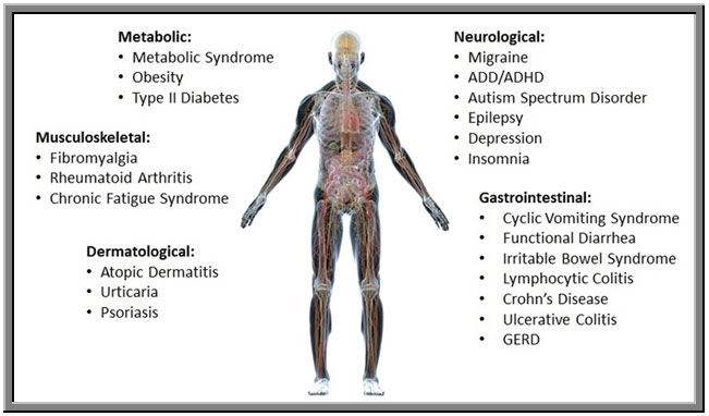 A chart representing different sections of the body. | Nourish Your Mind